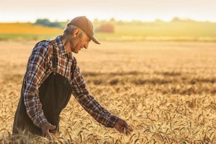 Bursa'da tarım sektörünün sorunları... Tarım yaşa takılıyor -