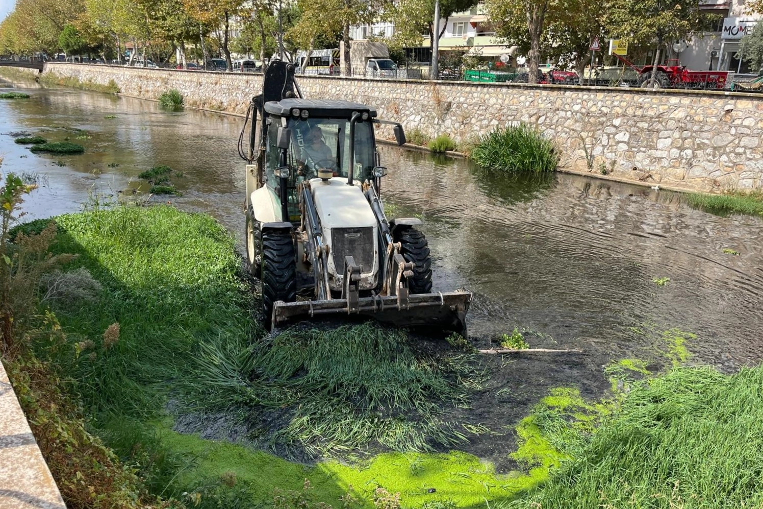 Bursa Gemlik'te derelerde temizlik -