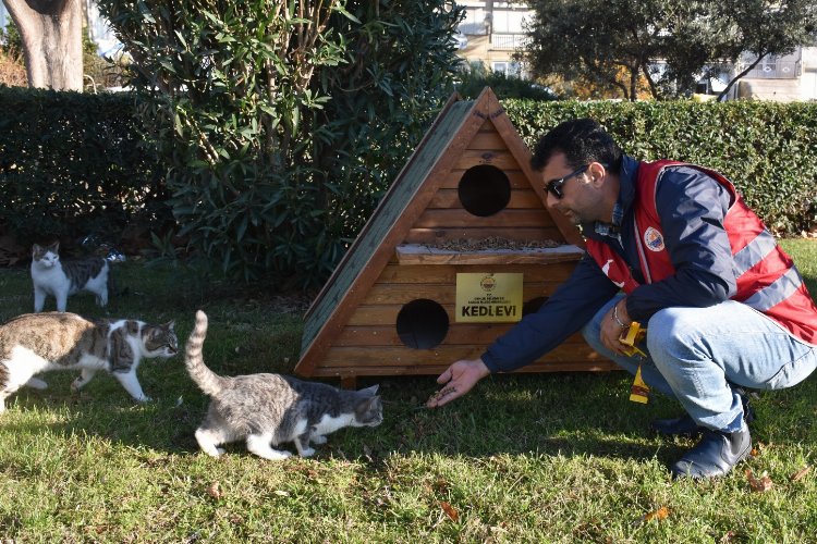 Bursa Gemlik'te lodos sonrası kedi evlerine bakım