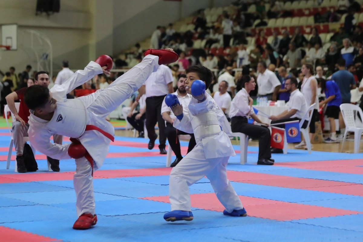 Bursa Gemlik'te uluslararası karate heyecanı -