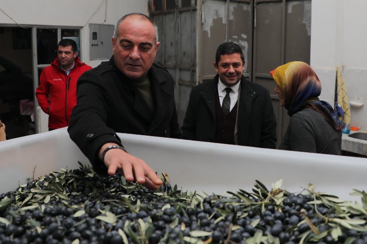 Bursa Gemlik'te zeytin çiftçisine yapılan destekleri anlattı -