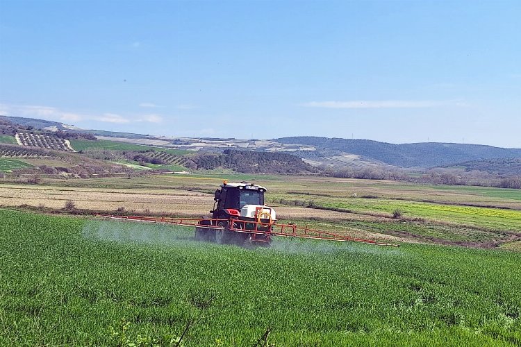 Bursa Mudanya'da süneyle kimyasal mücadele başladı -