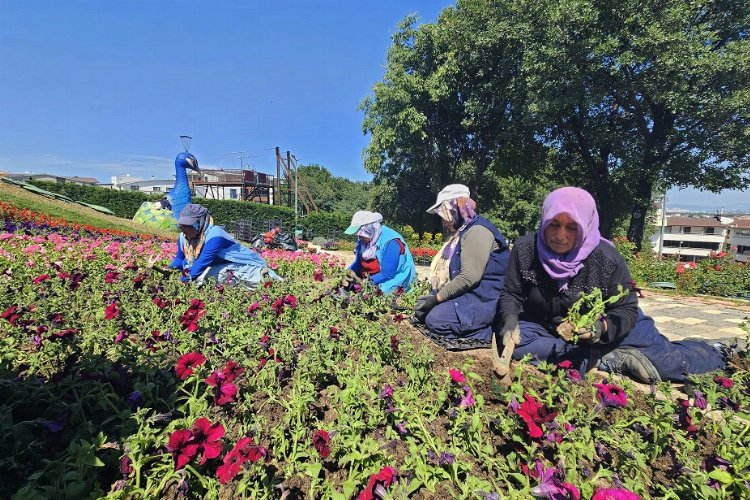 Bursa Osmangazi çiçek açıyor -