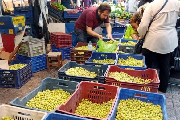 Bursa Tuz Pazarı’nda kurmalık zeytin satışı başladı -