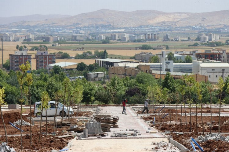 Büyükşehir’den devasa park çalışması -