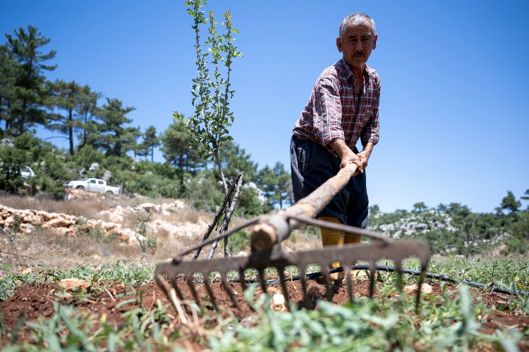 Büyükşehir desteğiyle çiftçinin yüzü gülüyor -