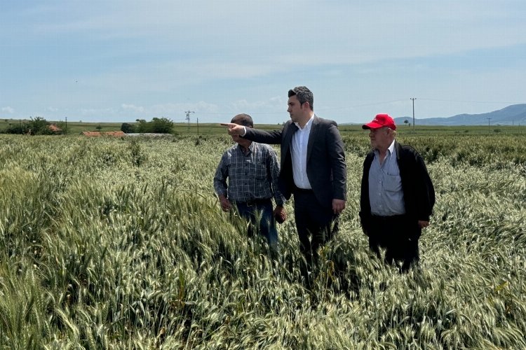 Çakır’dan hububat alım fiyatları eleştirisi -