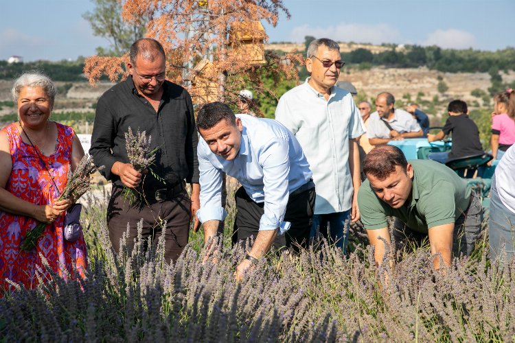 Çaltıbozkır'da Lavanta Hasat Şenliği coşkusu -