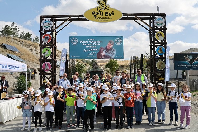 Can dostların huzurlu yuvası Kayseri Talas Pati Evi -