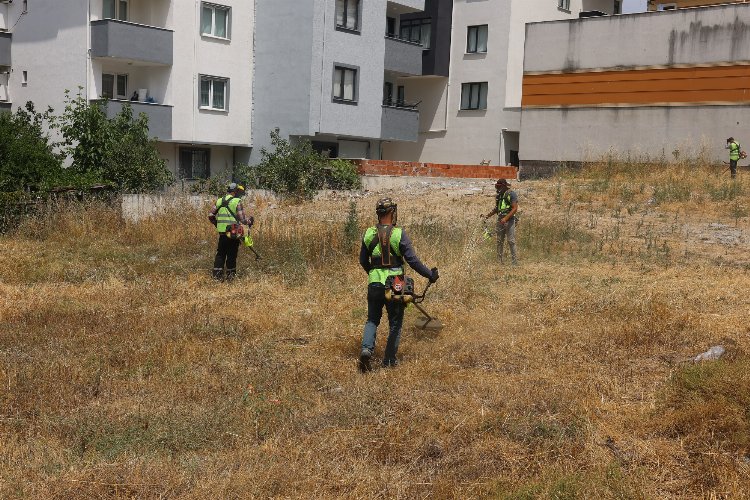 Çayırova’da yabani otlar temizleniyor -