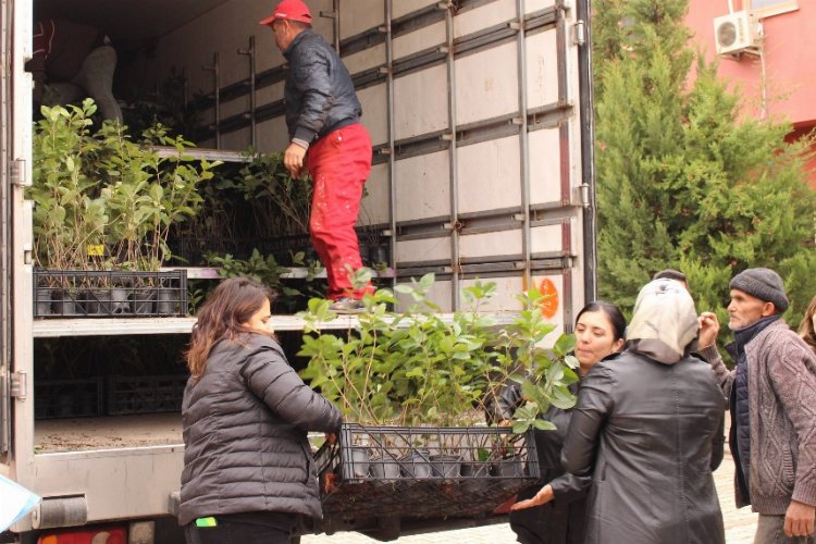 Çiftçilere aronya desteği -