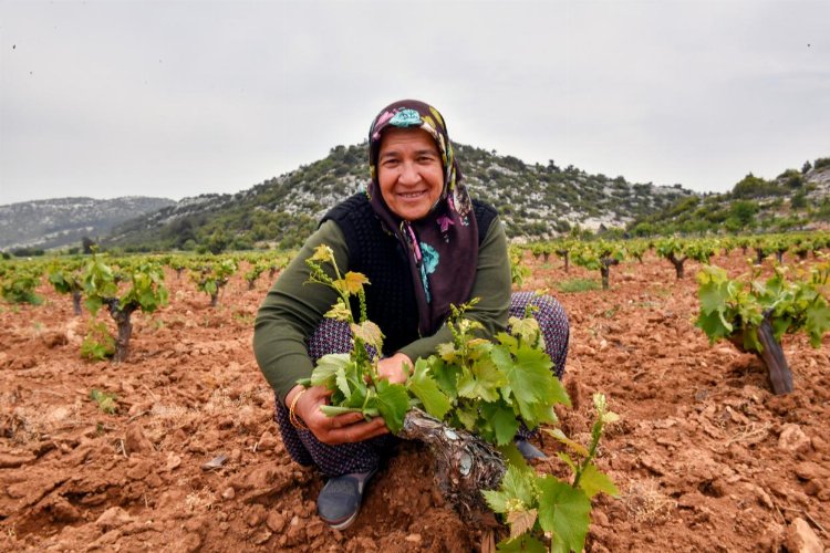 Çiftçinin yüzü organikle gülüyor -