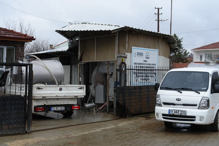 Çiğ sütte Pazaryeri’nden ülke ekonomisine milyonluk katkı -