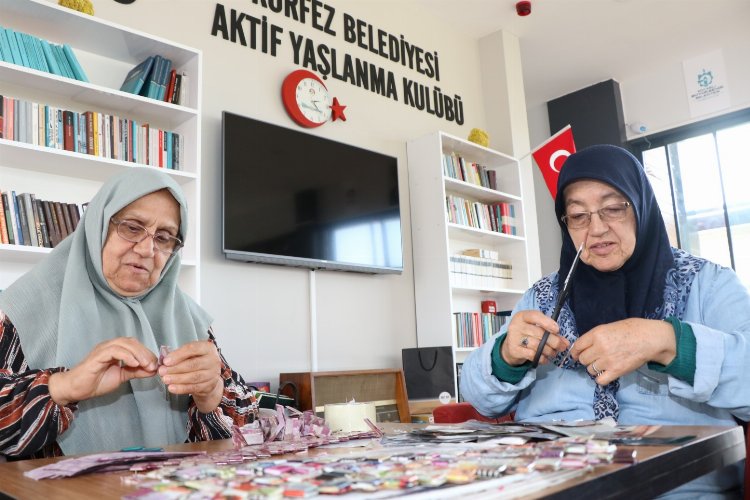 Çınarlarımız Kocaeli'de hayatın içinde -