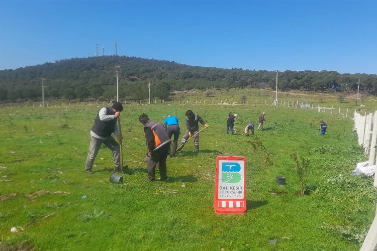 Çöplerin yerini zakkum çiçekleri alıyor -