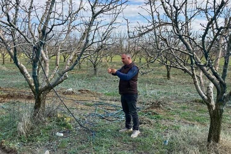 Devlet destekli tarım sigortalarında büyük artış -