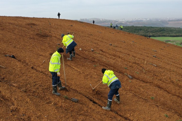 Dilovası’nda geleceğe 8 bin ağaçlık nefes -