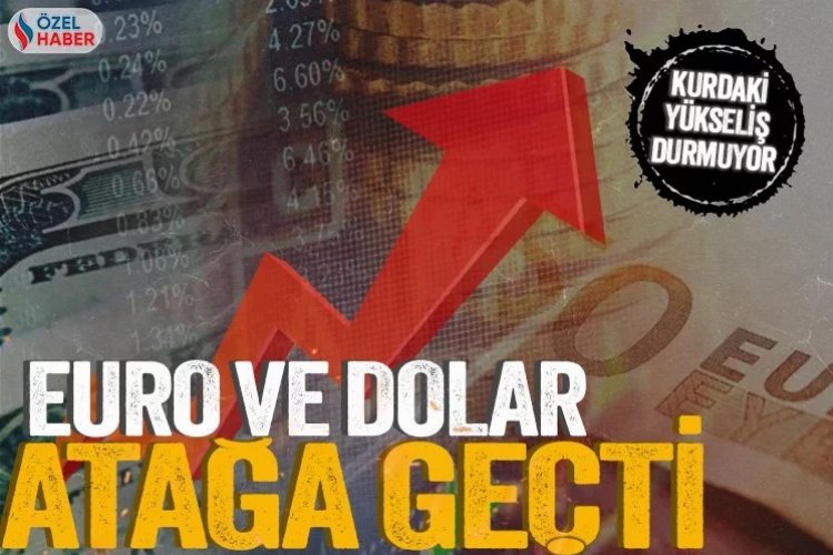 Dolar yükselecek mi? Türk lirası değerlenecek mi? -