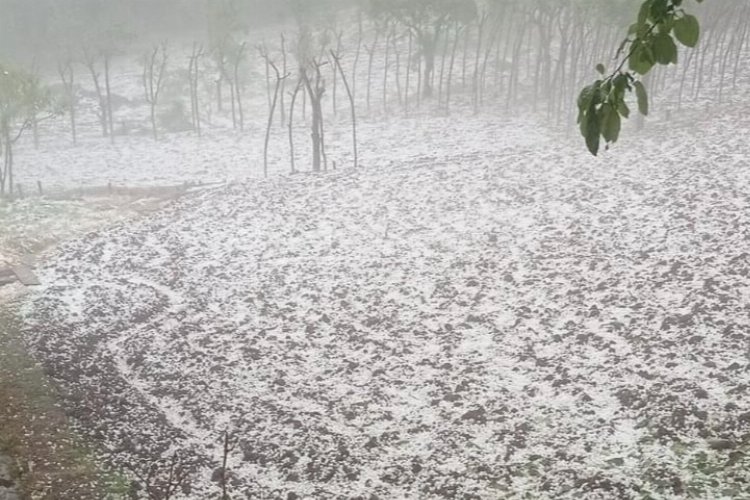 Düzce'de dolu yağışı hayatı olumsuz etkiledi -