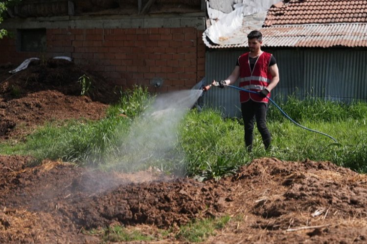 Düzce'de ilaçlama çalışmaları yeniden başladı -