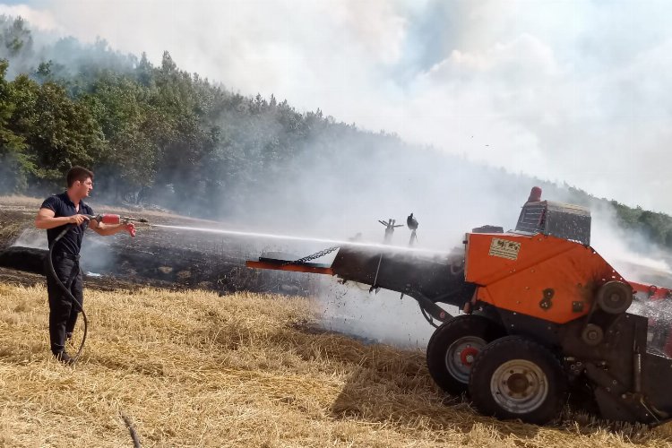 Edirne'de anız yangını ormana sıçradı -