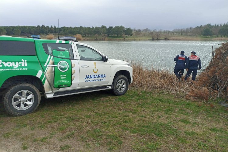 Edirne Jandarması’ndan Küküler Gölünde kaçak avcılığa denetim -