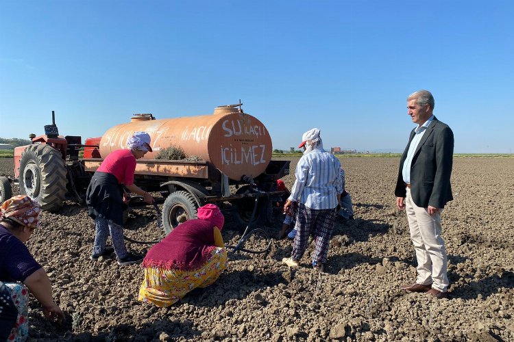 Edirne İpsala'da çiçek üreticiliği başlıyor -