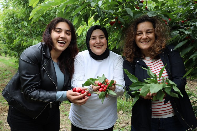 Ege'de kiraz hasadına enerji kattılar -