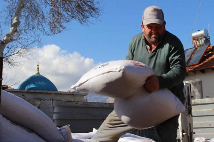 Elmalılı üreticilere süt yemi desteği -