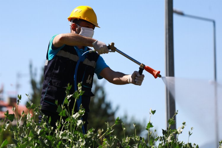 Erzurum'da haşere ile mücadele -