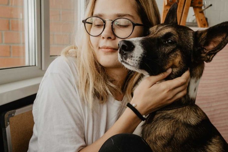 Evde erken yaşta kedi ve köpek beslemek, alerji riskini azaltıyor -