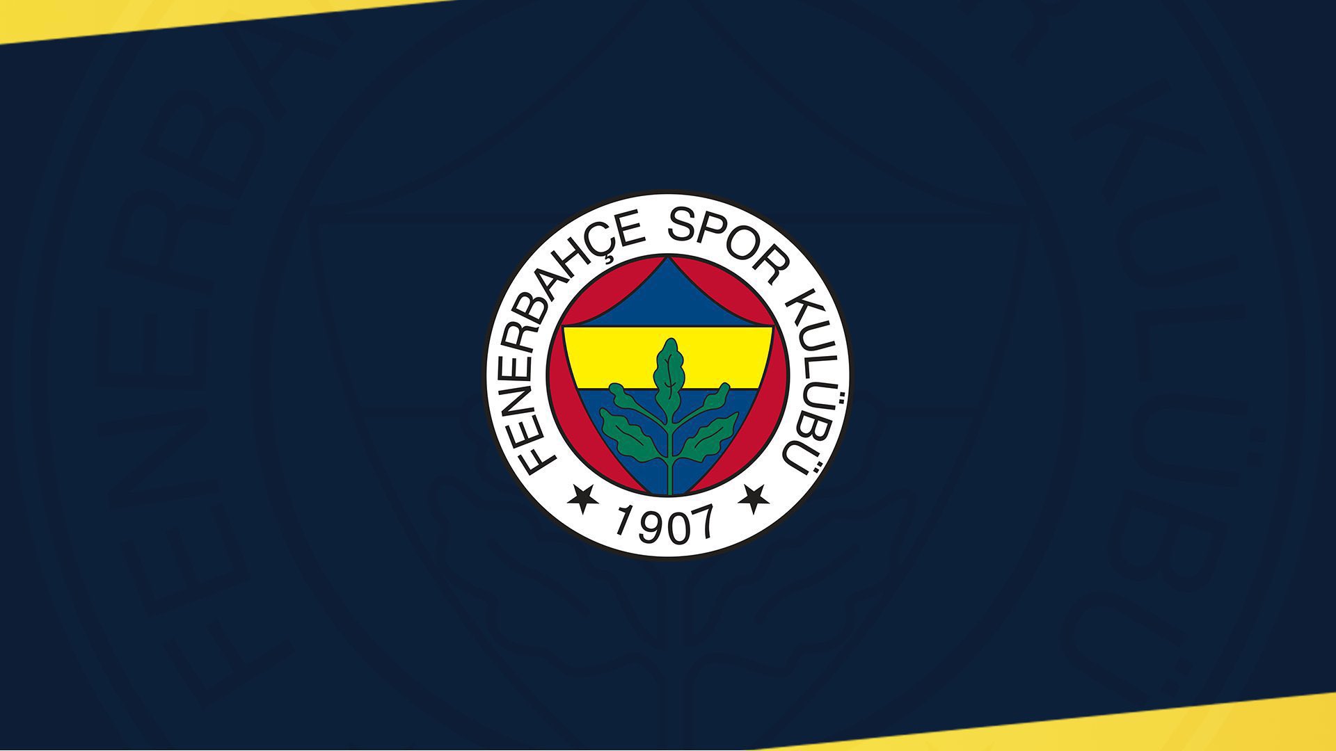 Fenerbahçe hocasını buldu