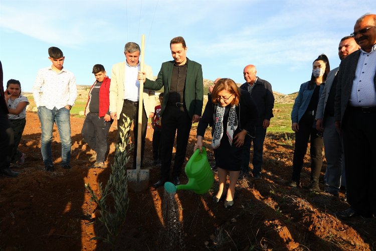 Gaziantep Büyükşehir Nurdağı'nda zeytin fidanlarını toprakla buluşturdu -