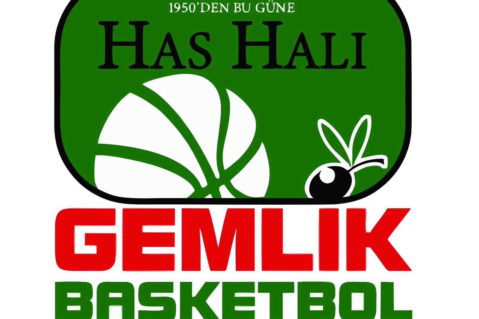 Gemlik Basketbol isim değiştirdi -