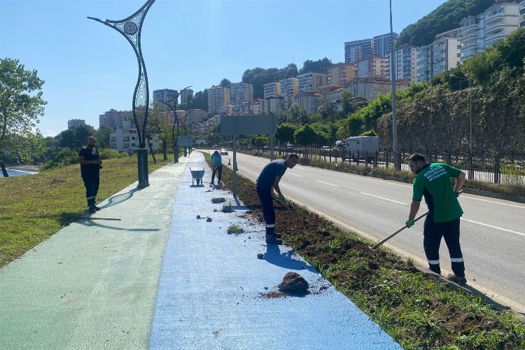 Giresun'da peyzaj alanları yenileniyor -