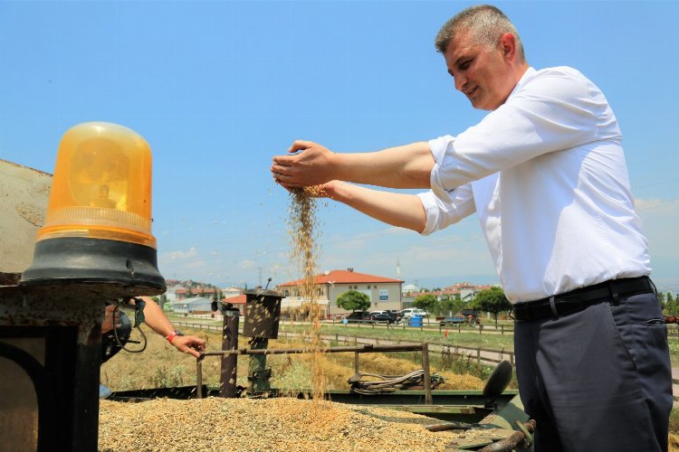 Göcük'te bu kez yem bitkisi yetişecek -