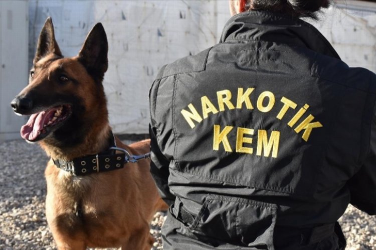 Hakkari'de dedektör köpekler polisin büyük destekçisi -