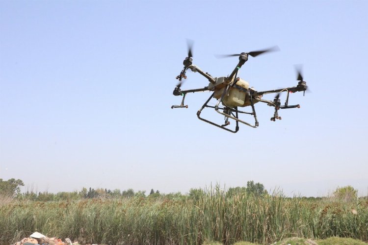 Hatay'da droneli ilaçlama başladı -