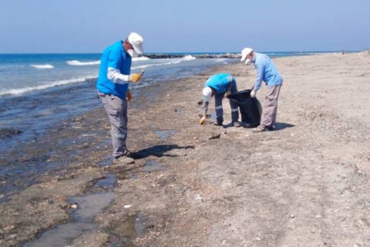 Hatay sahillerinde temizlik çalışmalarına aralıksız devam -