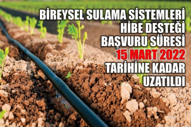 Hibe desteği başvuru süresi uzatıldı -