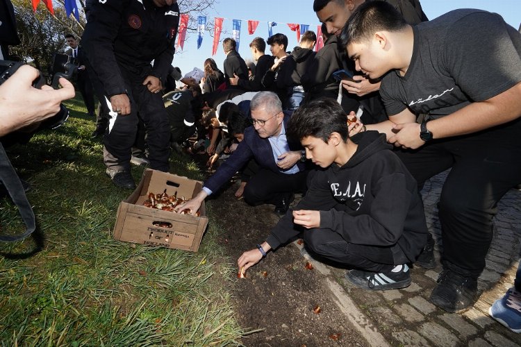 İstanbul'da laleler Üsküdar'da toprakla buluştu -