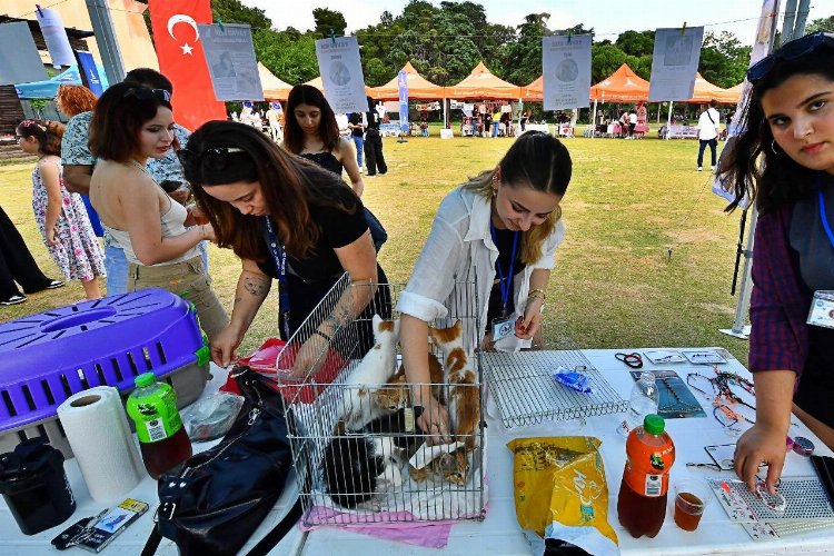 İzmir'de 'sahiplendirme' şenliği -