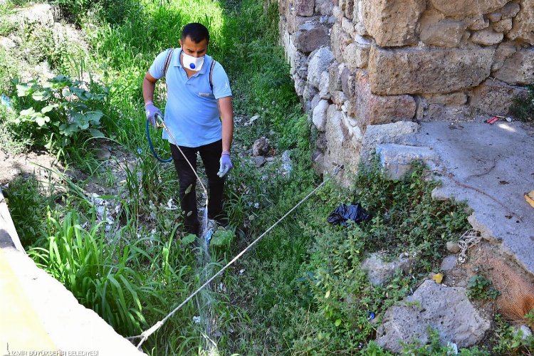 İzmir’de sivrisineklere karşı etkin mücadele -