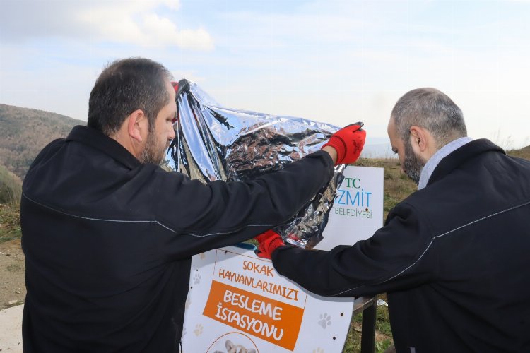 İzmit Belediyesi can dostlarını unutmadı -