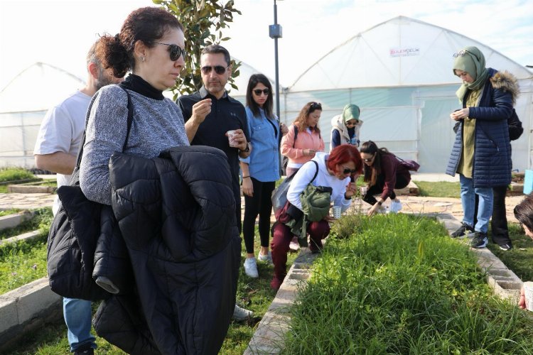 İzmit Belediyesinden permakültür eğitimleri -