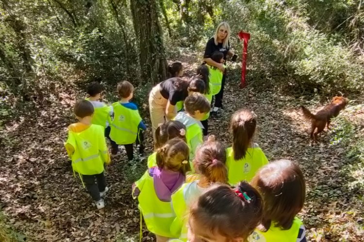 İzmit'in 'Orman Okulu'nda minikler kendi hikayelerini yazıyor -