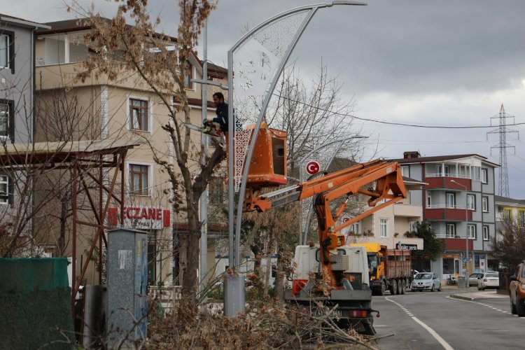 İzmit'te ağaç budama çalışmaları sürüyor -