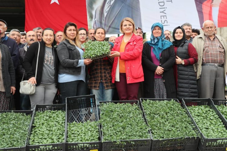 İzmit'te sebze üretmeyen köy kalmayacak -