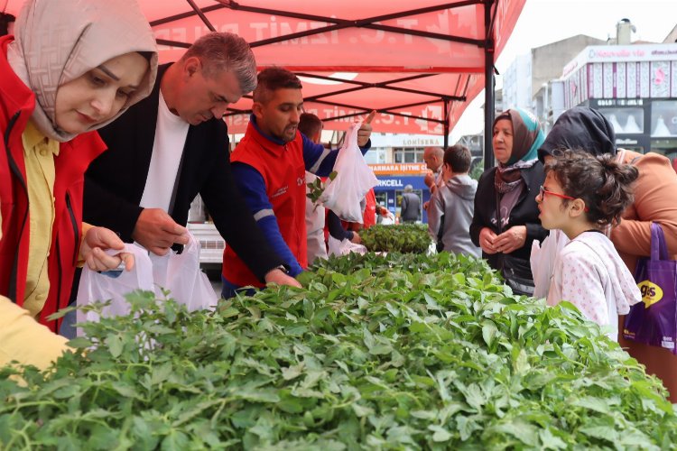 İzmit'te tarımsal kalkınmaya fide desteği -