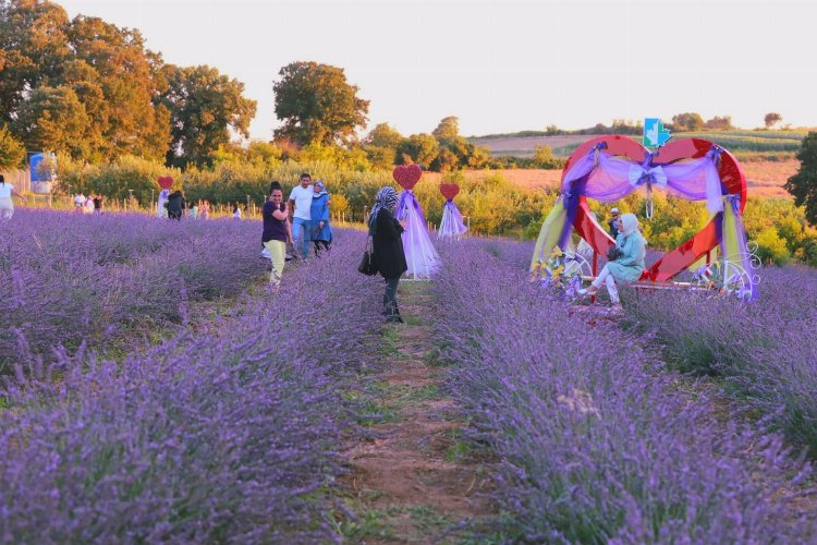 İzmitliler Lavanta Şenlikleri'nde buluştu -